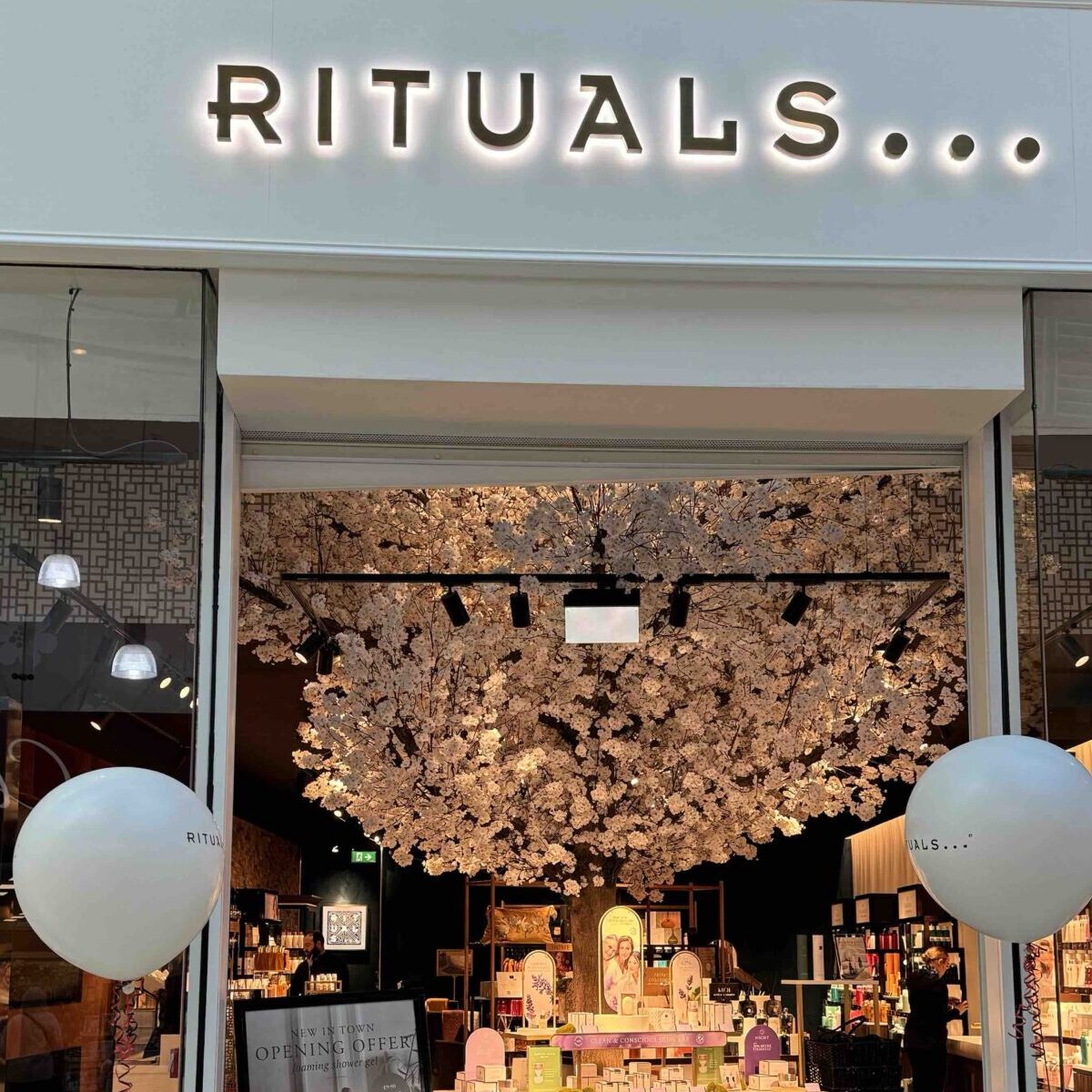 Walton Court Local Area